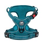 PoyPet Anti-trek hondentuig met frontclip, reflecterend hondenharnas zonder wurgen, verstelbaar, zacht gevoerd tuigje met gemakkelijk te hanteren handvat voor kleine honden (groenblauw Tumalo Teal, S)