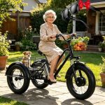 Elektrische bakfiets Volwassen Elektrische Cargo Driewieler Heavy Duty 200kg Belasting 3-Wiel 20" Dikke Banden 20x9x12 Grote Winkelmand voor Winkelen Picknick