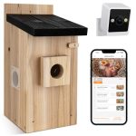 Beste bridge camera voor vogelfotografie 41RqcVjlrUL