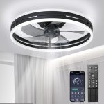 Stille Plafondventilator Met Verlichting 50W Dimbare Plafondlamp Met Afstandsbediening En APP 6 Snelheden Lamp Met Ventilatortimer Plafondventilatoren Slaapkamer Woonkamer Licht Zwart 50cm